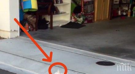 подаръкът направи майка първия рожден ден сина разсмя цял интернет