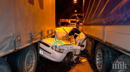 каква причината довела жестокото кърваво меле витиня