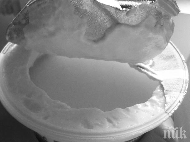 Наглостта на търговците мина всякакви граници! Сгъстяват киселото мляко с ГМО! Добавките съсипват бъбреците
