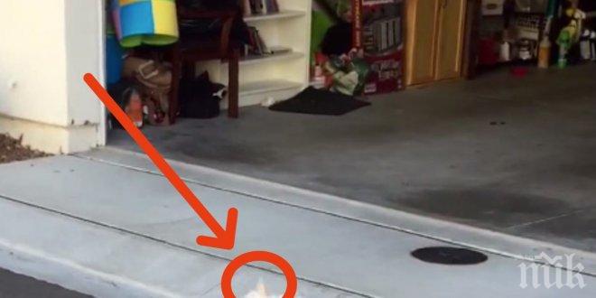 Подаръкът, който направи тази майка за първия рожден ден на сина си, разсмя цял Интернет...