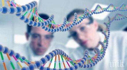 учени разчетоха древния човешки геном африка