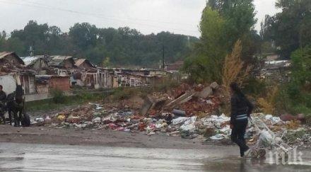 страхил ангелов настоява гражданските организации нпо кажат интегрираните роми