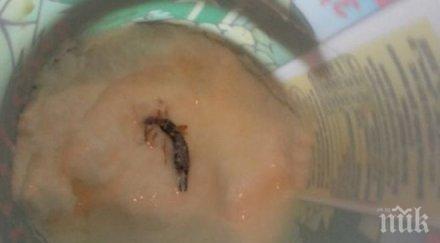 жена намери щипалка киселото мляко