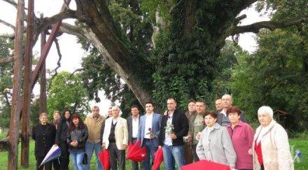 брюксел научи братя даскалови настоя кандидатът кмет сава савов