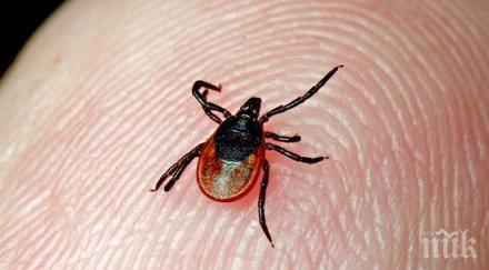 засякоха нов случай марсилска треска варна