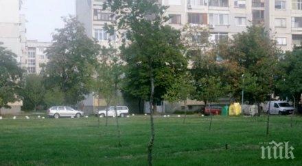 пловдив губи зелените площи