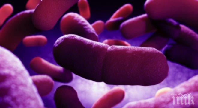 Правят ревизия на готовността ни за биотероризъм