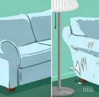 Как изглежда животът без котка? А как изжлежда той, когато вкъщи има малък, пухкав домашен любимец?