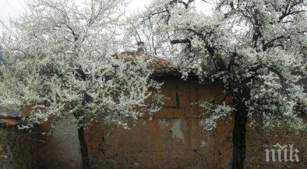 данък дворче притесни земеделци провинцията