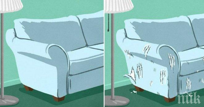 Как изглежда животът без котка? А как изжлежда той, когато вкъщи има малък, пухкав домашен любимец?