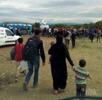 Австрия очаква  82 500 молби за убежище през 2015 г.