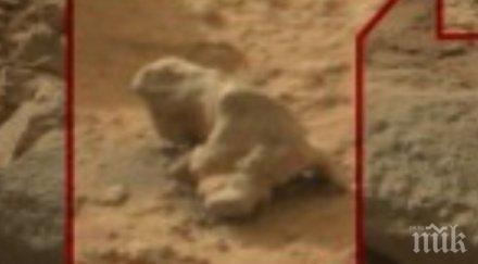 уникално откритие камъчета марс пренесени десетки километри река