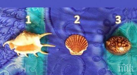 уникален тест разкрива истинската същност изберете черупка