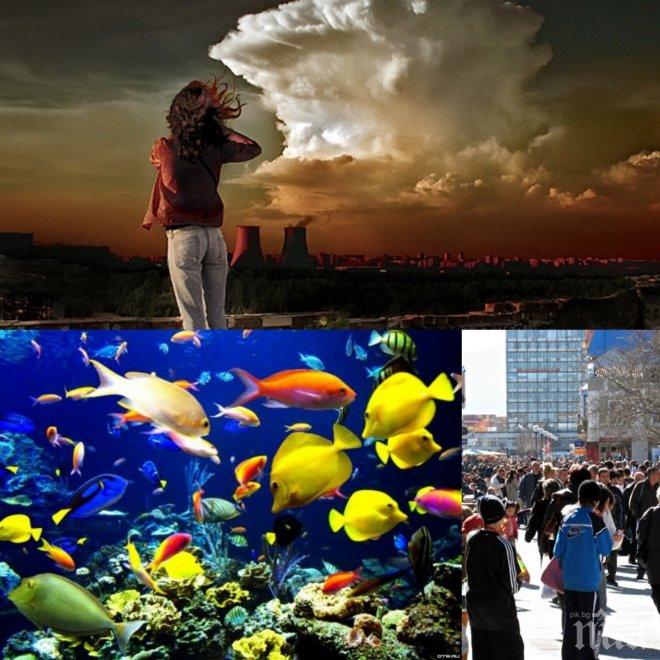 Чака ни колапс в хранителната верига! Учени вещаят изчезване на морски обитатели и последици за човечеството!