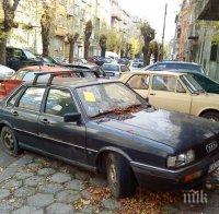 Българите масово карат брички! Повечето таралясници у нас са на над 20 години