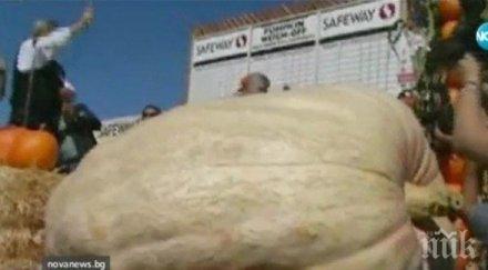 тиква тежи 893 струва 000 долара