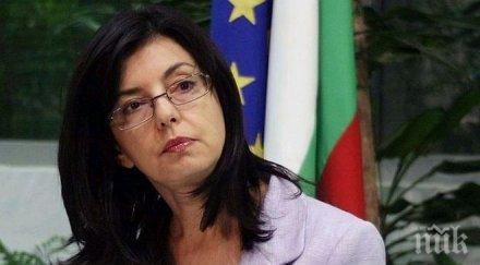 кунева планът юнкер стимулира управлението век