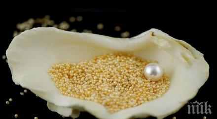 пловдивските данъчни продават търг естествени перли