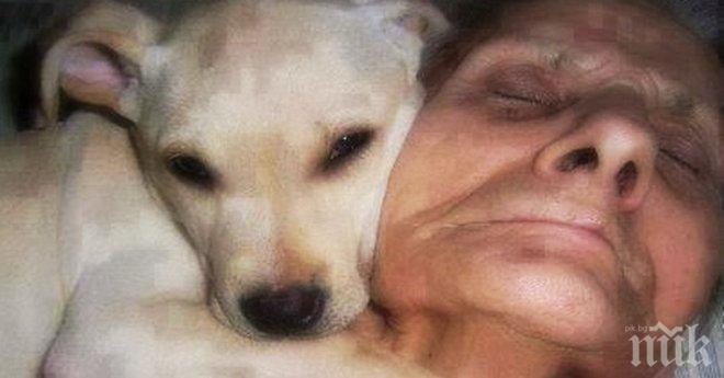 Жената от снимката прекара един месец в кома. Нейните думи, след като се събуди... Изненада за всички!