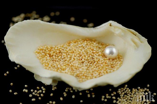 Пловдивските данъчни продават на търг над 5 кг. естествени перли
