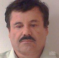 Мексиканският наркобарон Дребосъка е ранен, но още не е заловен 