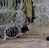 Унгария затвори границата с Хърватия