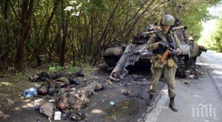 куба отрича изпращала свои войски сирия