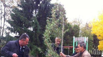 кандидатът герб кмет район панчарево димитър сичанов изградихме модернизирахме детски площадки извършихме ремонт всички детски площадки района