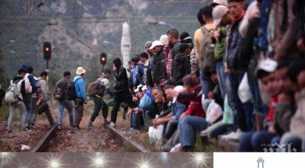 интерпол европол нова мащабна акция спират заедно нелегалните мигранти