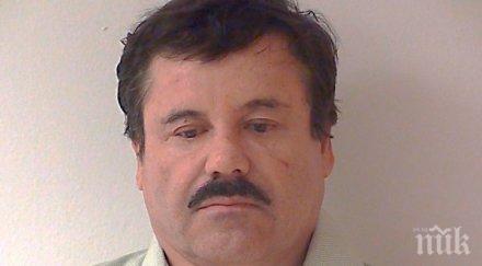 мексиканският наркобарон дребосъка ранен заловен