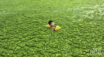 престъпления човека природата изгледах сълзи очите погледни