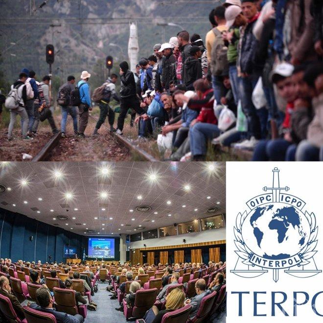 Интерпол и Европол с нова мащабна акция ще спират заедно нелегалните мигранти