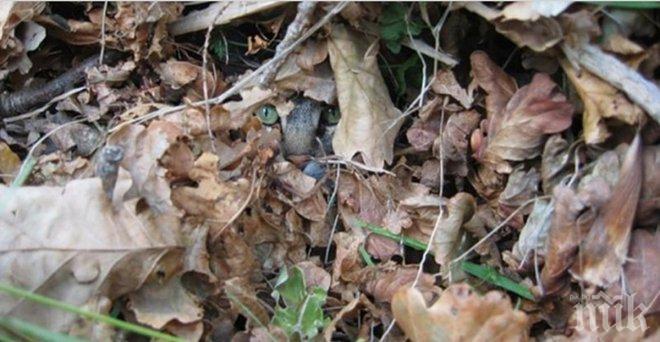 Тотално различни снимки обединени от въпроса: Абе, къде е котката?! 2 част!