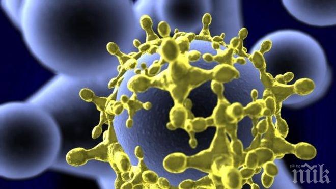 Учени съживиха вируси на 40 000 години