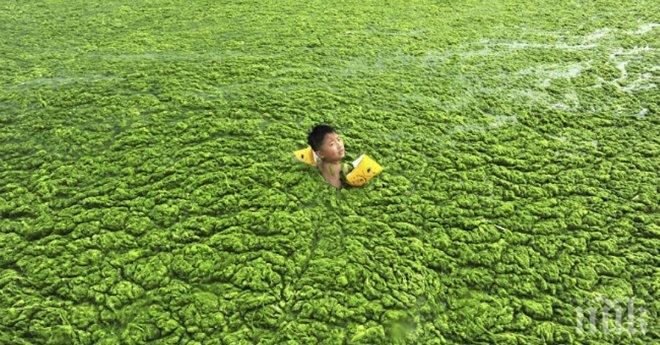 25 престъпления на човека срещу природата. Изгледах ги със сълзи на очите, погледни ги и ти!