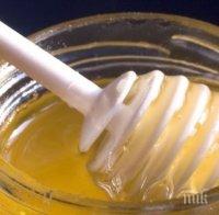 ЕКСКЛУЗИВНО в ПИК! Внимание! Сготвеният мед е бавна отрова, предизвиква атеросклероза