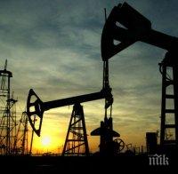 Саудитска Арабия е натрупала рекордни запаси от петрол
