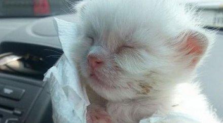 беззащитен мъник открит десет дни случва късно изглежда