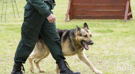 шестима полицаи двама цивилни бяха ранени време демонстрация столицата черна гора