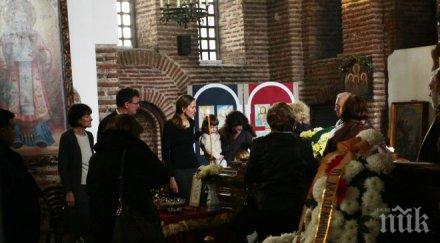 пик близки приятели простиха проф тодор петев