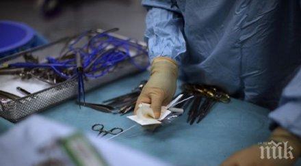 разследване пик час пик гигантска далавера човешки части роми броят 3000 евро бъбрек бежанец