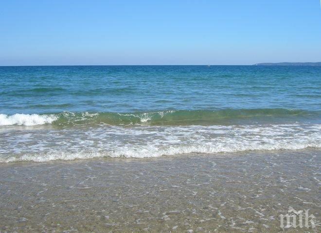 Предстои нов опит за регламентиране на защитата на природата в Южния океан