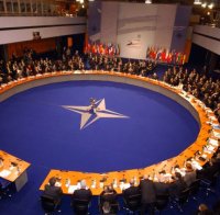 НАТО няма да се меси в Сирия