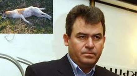 богомил бонев атентатът доган нарочно изглежда инсценировка