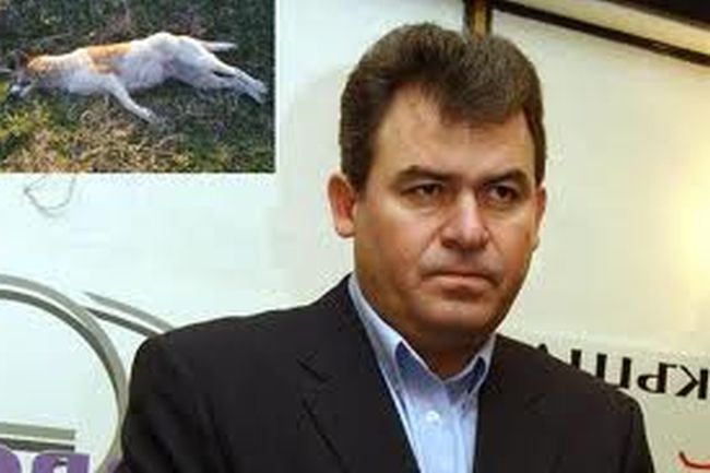 Богомил Бонев: Атентатът срещу Доган нарочно изглежда като инсценировка