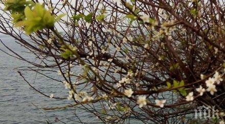 свърши хубавото време студ сковава страната температурите падат градуса