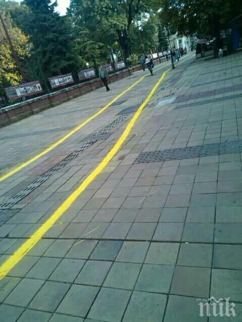 Фейсбук акция на младежи от Плевен предизвика реакция на национална телевизия
