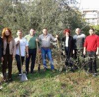 Кандидатът за кмет на варненския район Приморски организира инициатива по залесяване
