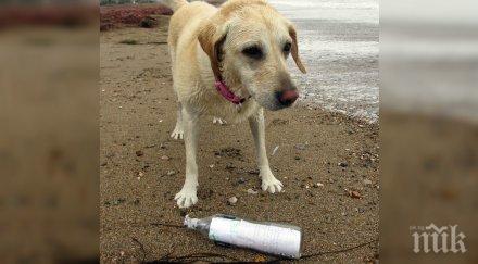 куче великобритания открива писмо бутилка оказа писмото изпратено българия