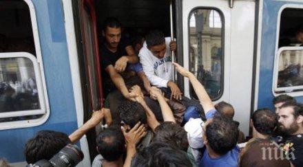 приемът бежанци 2015 струва италия млрд евро